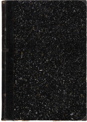 [Собрание В.Г. Лидина] Решетников Ф.М. Подлиповцы. СПб., 1880.